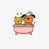 Clean and Hygienic